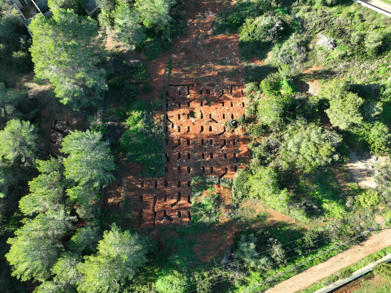 Finca de 56.000 m² con licencia de obra en Santa Gertrudis — photo 2