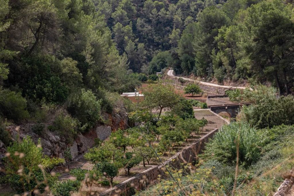 Terreno Santa Ines — photo 1
