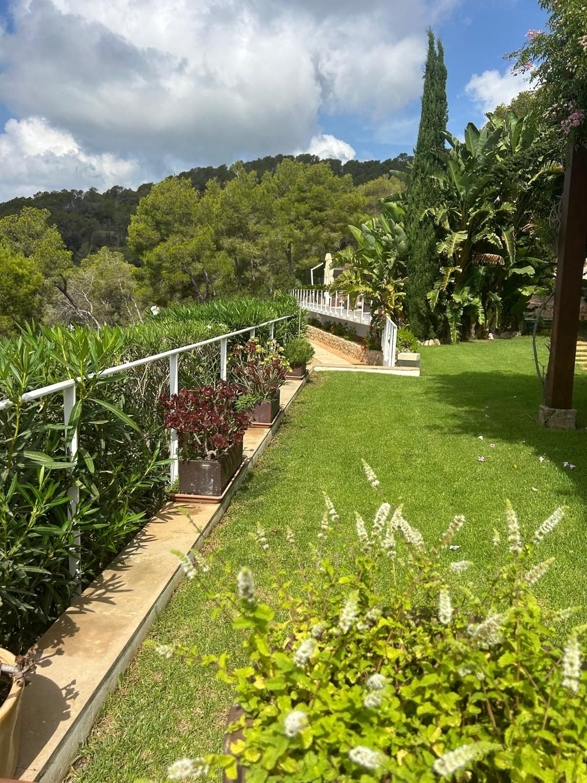 Villa Es Cubells, 7.800 m² de finca — foto 1